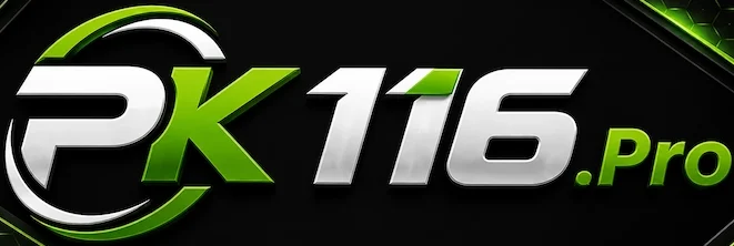Pk116.pro logo image